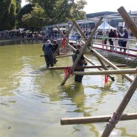 img_3983 gro